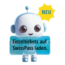 Referencing individual tickets on SwissPass
